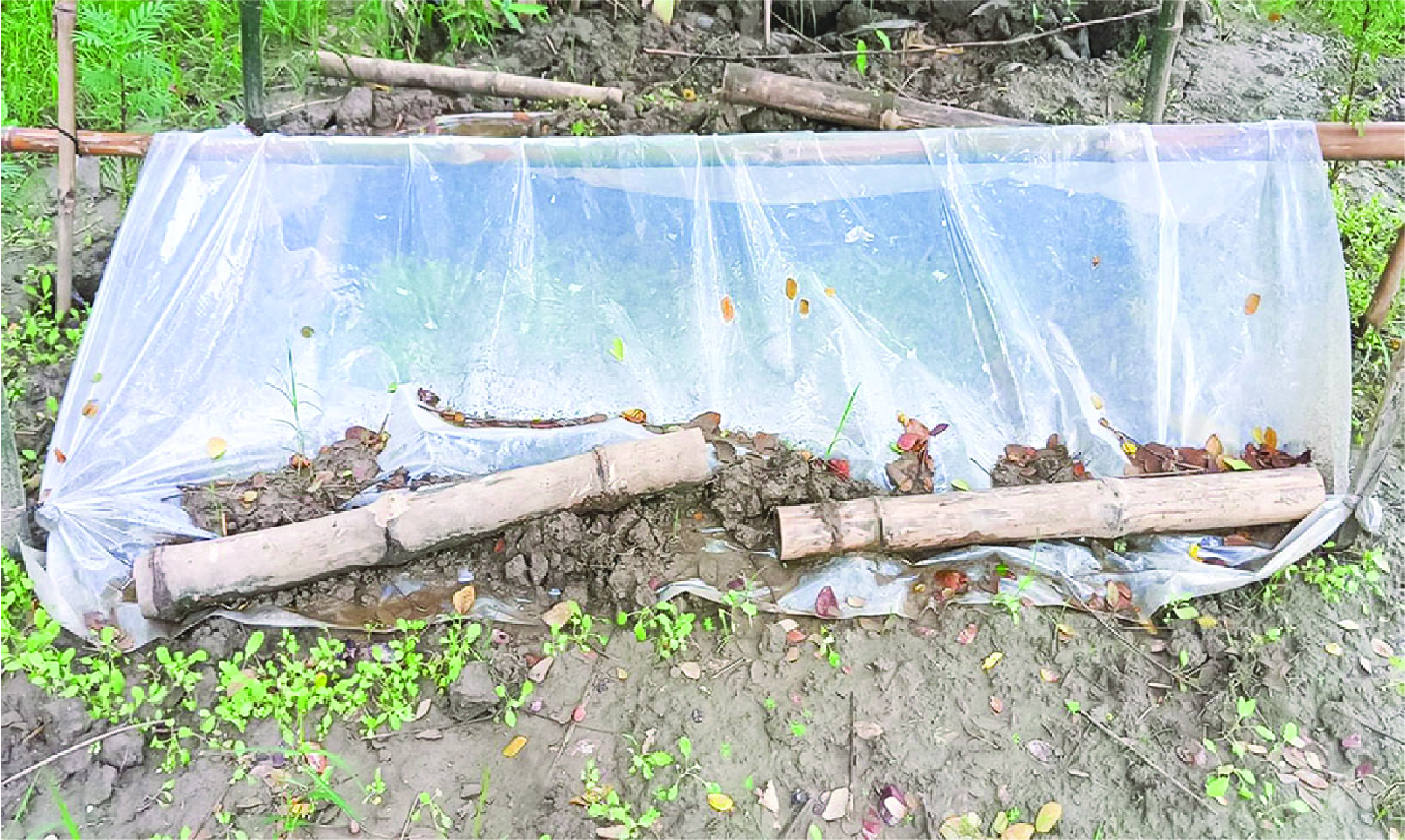Image of মো: সুমন মিয়া